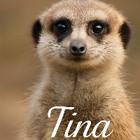 Modi_Tina
